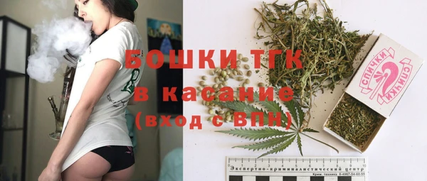 гидра Волоколамск