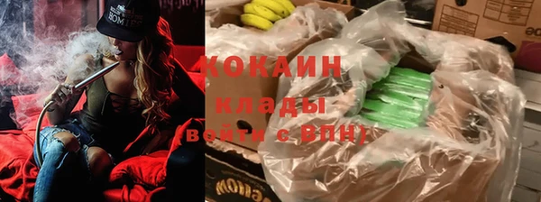 гидра Волоколамск