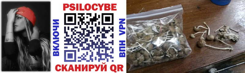Псилоцибиновые грибы Psilocybe Купить закладки Полысаево